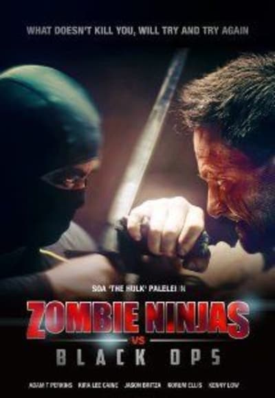 Zombie Ninjas Vs Black Ops